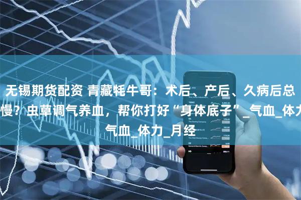 无锡期货配资 青藏牦牛哥：术后、产后、久病后总是恢复慢？虫草调气养血，帮你打好“身体底子”_气血_体力_月经