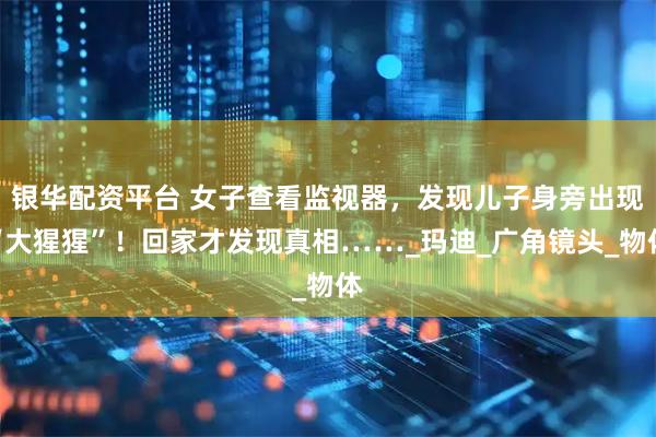 银华配资平台 女子查看监视器,发现儿子身旁出现“大猩猩”!回家才发现真相……_玛迪_广角镜头_物体